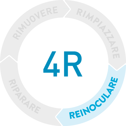 Approccio 4R - Reinoculare